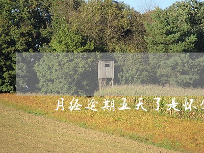 月经逾期五天了是怀孕了嘛
