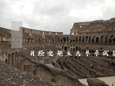 月经逾期五天早孕试纸强阳