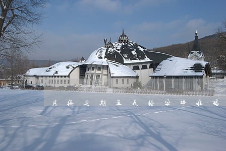 月经逾期五天验孕棒准吗 月经逾期五天验孕棒准吗