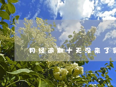 月经逾期十天没来了乳头处刺痛 月经逾期十天没来了乳头处刺痛