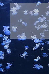 月经逾期四天hcg