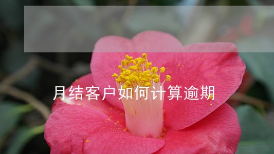 月结客户如何计算逾期 月结客户如何计算逾期