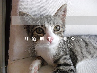 月逾期率计算公式