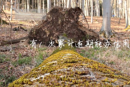 有1次累计逾期能办信用卡吗