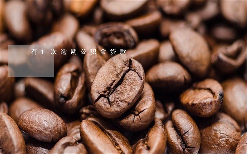有1次逾期公积金贷款 有1次逾期公积金贷款