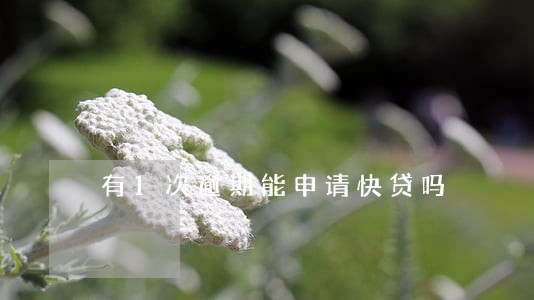 有1次逾期能申请快贷吗 有1次逾期能申请快贷吗