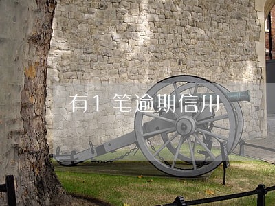 有1笔逾期信用 有1笔逾期信用