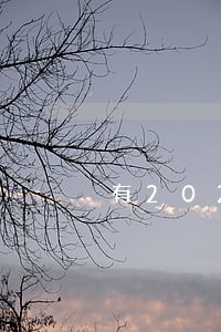 有2021年网贷逾期的吗 有2021年网贷逾期的吗