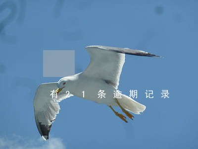 有21条逾期记录 有21条逾期记录