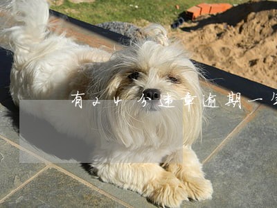 有24分违章逾期一年未换证 有24分违章逾期一年未换证
