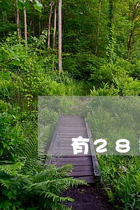 有28条逾期未申报 有28条逾期未申报