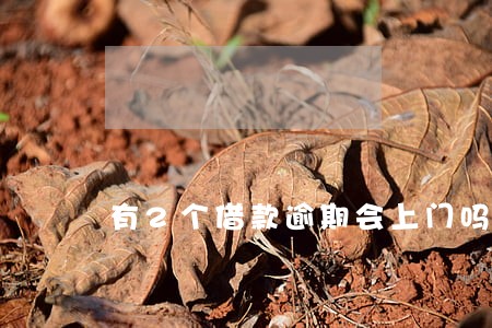 有2个借款逾期会上门吗 有2个借款逾期会上门吗