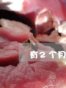 有2个月逾期记录 有2个月逾期记录