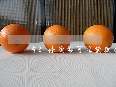 有2条逾期可以贷款吗 有2条逾期可以贷款吗