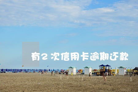 有2次信用卡逾期还款