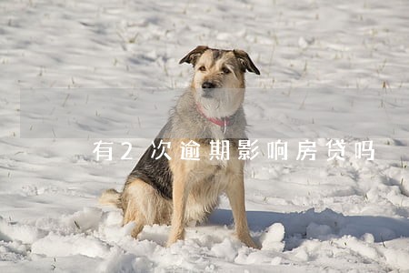 有2次逾期影响房贷吗 有2次逾期影响房贷吗