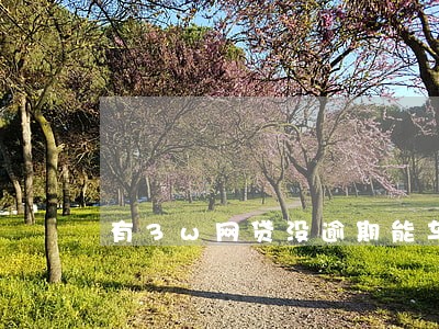 有3w网贷没逾期能车贷吗 有3w网贷没逾期能车贷吗