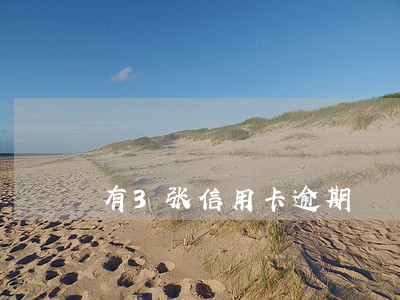 有3张信用卡逾期