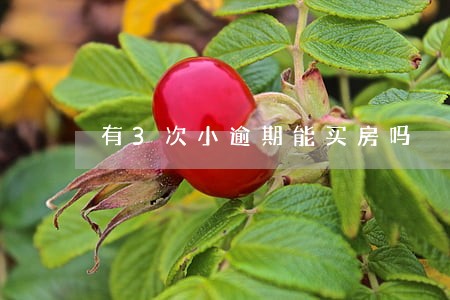 有3次小逾期能买房吗 有3次小逾期能买房吗
