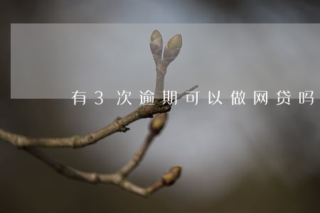 有3次逾期可以做网贷吗 有3次逾期可以做网贷吗