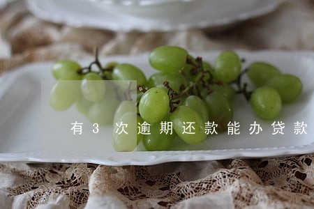 有3次逾期还款能办贷款吗 有3次逾期还款能办贷款吗