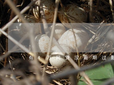 有4万网贷没逾期过影响房贷吗 有4万网贷没逾期过影响房贷吗
