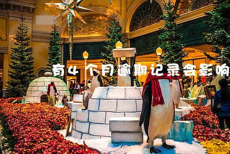 有4个月逾期记录会影响买房吗