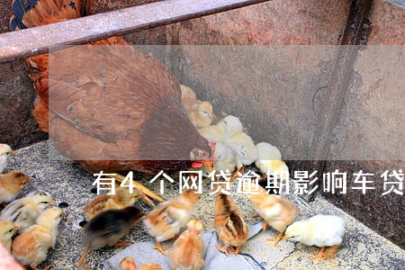 有4个网贷逾期影响车贷吗 有4个网贷逾期影响车贷吗