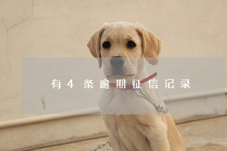 有4条逾期征信记录 有4条逾期征信记录