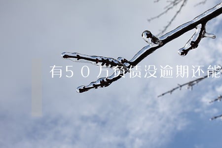 有50万负债没逾期还能贷款吗 有50万负债没逾期还能贷款吗