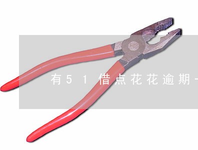 有51借点花花逾期一年的么 有51借点花花逾期一年的么