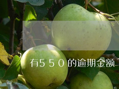 有550的逾期金额 有550的逾期金额