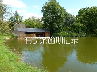 有5条逾期记录