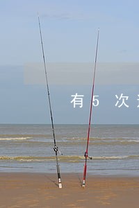 有5次逾期影响金融高管吗 有5次逾期影响金融高管吗