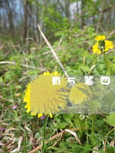 有5笔四年前房贷逾期 有5笔四年前房贷逾期
