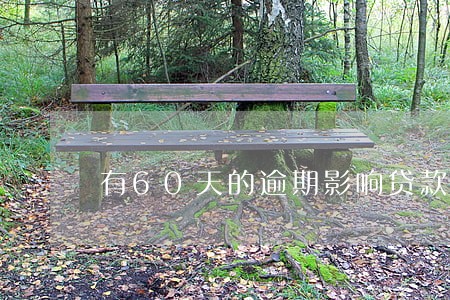 有60天的逾期影响贷款 有60天的逾期影响贷款