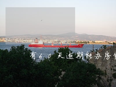 有60天逾期能办房贷吗 有60天逾期能办房贷吗