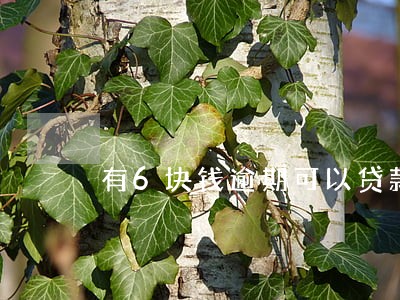 有6块钱逾期可以贷款买房子吗 有6块钱逾期可以贷款买房子吗