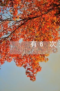 有6次逾期能贷款买房吗
