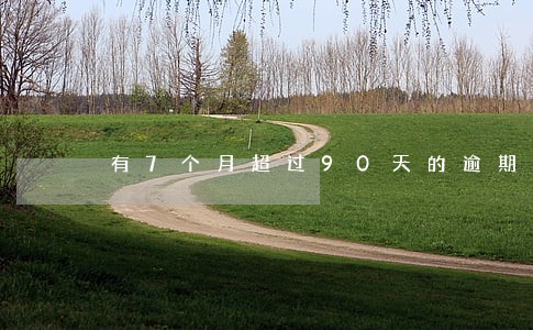 有7个月超过90天的逾期 有7个月超过90天的逾期