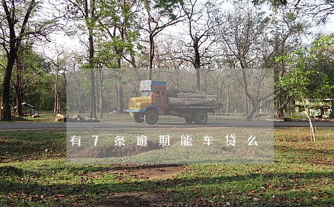有7条逾期能车贷么 有7条逾期能车贷么
