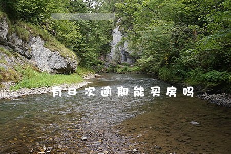 有8次逾期能买房吗 有8次逾期能买房吗