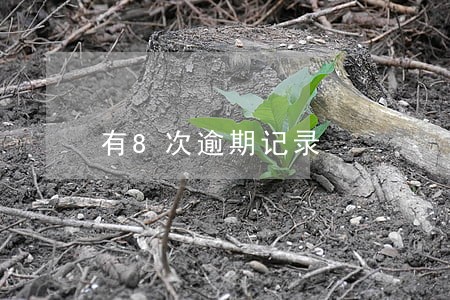 有8次逾期记录 有8次逾期记录