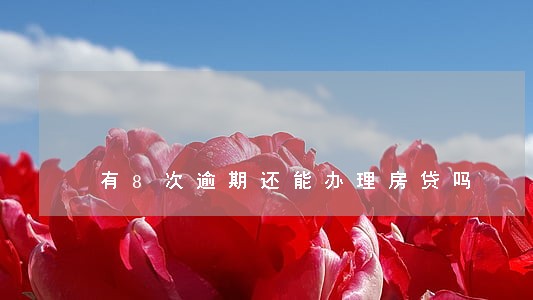 有8次逾期还能办理房贷吗 有8次逾期还能办理房贷吗