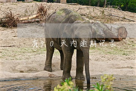 有90天内逾期记录