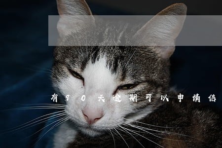 有90天逾期可以申请信用卡吗