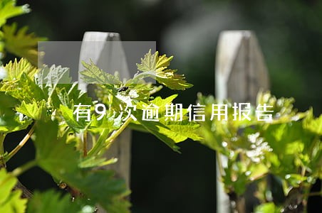有9次逾期信用报告 有9次逾期信用报告