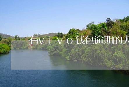 有vivo钱包逾期的人吗 有vivo钱包逾期的人吗