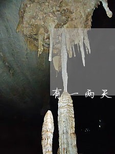 有一两天的逾期影响征信吗 有一两天的逾期影响征信吗