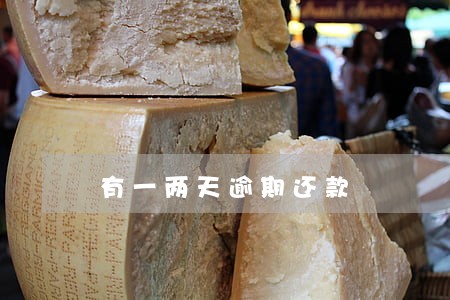 有一两天逾期还款 有一两天逾期还款